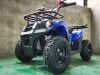 ATV Basic X16 e-start Бензиновый 